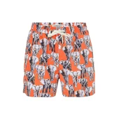 Routefield RFVINCE23 Vince Erkek Şort Mayo - 1