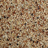 Karışık Muhabbet Kuş Yemi 1 Kg - 2