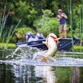 Valkyrie 10 Adet Kutulu Fly Spinner Bait Yem Zoka Seti Döner Tip Tatlı Tuzlu Sinek Olta - 10
