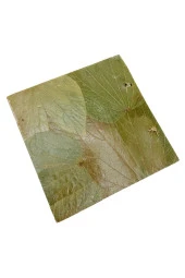 Papirüs Yapraklı Fotoğraf Albümü 19 cm - 7