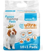 Royalist Çiş Pedi 60*60 Cm 10+1 - 1