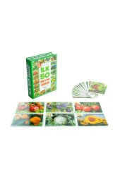 Dıytoy Bebek Ilk 50 Meyve Sebze - 2