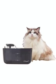 Kiwipets Otomatik Kedi Köpek Su Pınarı Su Çeşmesi Ultra Sessiz Su Şelalesi KPF-10555 - 1