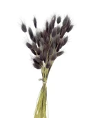 Nettenevime Kuru Çiçek Doğal GRİ LİLA Pamuk Otu 10gram 1. Kalite Şoklanmış Bozulmaz - 2