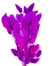 Nettenevime Kuru Çiçek Doğal LİLA Pamuk Otu 10gram 1. Kalite Şoklanmış Bozulmaz - 1