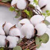 Nettenevime Doğal Pamuk Dalı Dekratif Kuru Çiçek  Yapay Çiçek 1 ADET Pamuk Topu thumbnail 6