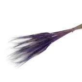 Nettenevime Kuru Çiçek Doğal Mor Başak 35gram 1. Kalite Şoklanmış Bozulmaz thumbnail 1