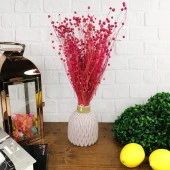 Nettenevime Kuru Çiçek Doğal Fuşya Luna 25gram Otu 1. Kalite Şoklanmış Bozulmaz thumbnail 2