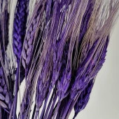 Nettenevime Kuru Çiçek Doğal Mor Başak 35gram 1. Kalite Şoklanmış Bozulmaz thumbnail 3