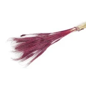 Nettenevime Kuru Çiçek Doğal Bordo Başak 35gram 1. Kalite Şoklanmış Bozulmaz thumbnail 1