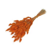 Nettenevime Kuru Çiçek Doğal Turuncu Pamuk Otu 20gram 1. Kalite Şoklanmış Bozulmaz thumbnail 1