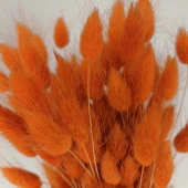 Nettenevime Kuru Çiçek Doğal Turuncu Pamuk Otu 20gram 1. Kalite Şoklanmış Bozulmaz thumbnail 3