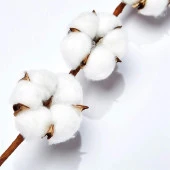 Nettenevime Doğal Pamuk Çiçeği 5Adet 5 li Kuru Çiçek 56cm Yapay Çiçek - 6