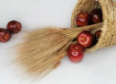 Kuru Çiçek Doğal Kahverengi Başak 35gram 1. Kalite Şoklanmış Bozulmaz - 3