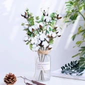 Nettenevime 4 Lü Set Okaliptuslu Doğal Pamuk Çiçeği Dalı 5li Kuru Çiçek Yapay Çiçek - 3