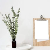 Nettenevime Şoklanmış Okaliptus Stabilize Kuru Çiçek Yeşil 50 Gram - 5