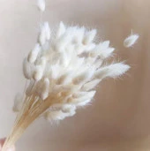 Nettenevime Kuru Çiçek Doğal Krem Natural Pamuk Otu 20gram 1. Kalite Şoklanmış Bozulmaz thumbnail 7