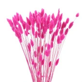 Nettenevime Kuru Çiçek Doğal ÇİNGENE PEMBE Pamuk Otu 10gram 1. Kalite Şoklanmış Bozulmaz thumbnail 1