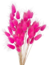 Nettenevime Kuru Çiçek Doğal ÇİNGENE PEMBE Pamuk Otu 10gram 1. Kalite Şoklanmış Bozulmaz thumbnail 4