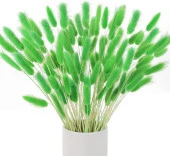 Nettenevime Kuru Çiçek Doğal ÇİMEN YEŞİL Pamuk Otu 10gram 1. Kalite Şoklanmış Bozulmaz thumbnail 1