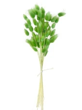 Nettenevime Kuru Çiçek Doğal ÇİMEN YEŞİL Pamuk Otu 10gram 1. Kalite Şoklanmış Bozulmaz thumbnail 2