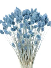 Nettenevime Kuru Çiçek Doğal Kuş Otu Mavi Açık Renk 40-50gram 1. Kalite Şoklanmış Bozulmaz - 1