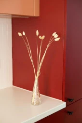 Nettenevime Kuru Çiçek Doğal Kuş Otu Krem Renk 40-50gram 1. Kalite Şoklanmış Bozulmaz - 4