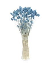 Nettenevime Kuru Çiçek Doğal Kuş Otu Mavi Açık Renk 40-50gram 1. Kalite Şoklanmış Bozulmaz - 3