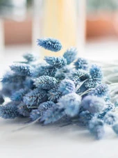 Nettenevime Kuru Çiçek Doğal Kuş Otu Mavi Açık Renk 40-50gram 1. Kalite Şoklanmış Bozulmaz - 4