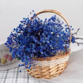 Nettenevime Kuru Çiçek Doğal MOR Cipso 50gram 1. Kalite Şoklanmış Bozulmaz thumbnail 2