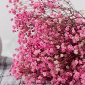 Nettenevime Kuru Çiçek Doğal PEMBE Cipso 50gram 1. Kalite Şoklanmış Bozulmaz thumbnail 1