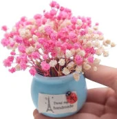 Nettenevime Kuru Çiçek Doğal PEMBE Cipso 50gram 1. Kalite Şoklanmış Bozulmaz thumbnail 3