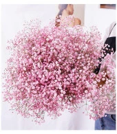 Nettenevime Kuru Çiçek Doğal PEMBE Cipso 50gram 1. Kalite Şoklanmış Bozulmaz thumbnail 4