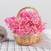 Nettenevime Kuru Çiçek Doğal PEMBE Cipso 50gram 1. Kalite Şoklanmış Bozulmaz thumbnail 7