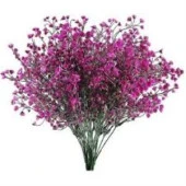 Nettenevime Kuru Çiçek Doğal FUŞYA Cipso 50gram 1. Kalite Şoklanmış Bozulmaz thumbnail 2