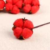 Nettenevime Doğal Pamuk Çiçeği Kırmızı 10 Adet Tekli Dal Kuru Çiçek 30 cm Yapay Çiçek thumbnail 2