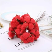 Nettenevime Doğal Pamuk Çiçeği Kırmızı 10 Adet Tekli Dal Kuru Çiçek 30 cm Yapay Çiçek thumbnail 3