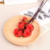 Nettenevime Doğal Pamuk Çiçeği Kırmızı 10 Adet Tekli Dal Kuru Çiçek 30 cm Yapay Çiçek thumbnail 4