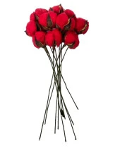 Nettenevime Doğal Pamuk Çiçeği Kırmızı 10 Adet Tekli Dal Kuru Çiçek 30 cm Yapay Çiçek thumbnail 5