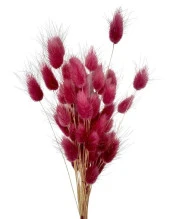 Nettenevime Kuru Çiçek Doğal BORDO AÇIK Pamuk Otu 10gram 1. Kalite Şoklanmış Bozulmaz thumbnail 1