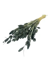 Nettenevime Kuru Çiçek Doğal Kuş Otu GRİ Renk 40-50gram 1. Kalite Şoklanmış Bozulmaz thumbnail 2