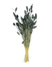 Nettenevime Kuru Çiçek Doğal Kuş Otu GRİ Renk 40-50gram 1. Kalite Şoklanmış Bozulmaz thumbnail 3