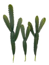 Nettenevime Yapay Çiçek Kaktüs Ağacı 60cm 3Köşeli 3Boy Set sk4020 thumbnail 1