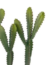 Nettenevime Yapay Çiçek Kaktüs Ağacı 60cm 3Köşeli 3Boy Set sk4020 thumbnail 4