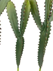 Nettenevime Yapay Çiçek Kaktüs Ağacı 60cm 3Köşeli 3Boy Set sk4020 thumbnail 5