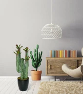 Nettenevime Yapay Çiçek Kaktüs Ağacı 4kollu Kızıl Yapraklı 70*22cm 4027 thumbnail 7