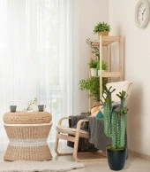 Nettenevime Yapay Çiçek Kaktüs Ağacı 4kollu Kızıl Yapraklı 70*22cm 4027 thumbnail 8