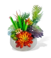 Nettenevime Yapay Çiçek Kaktüs Sukulent Aranjmanı Mokka Renk Plastik Saksıda 10 adet Karışık Model Skulent - 1