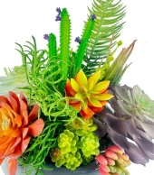 Nettenevime Yapay Çiçek Kaktüs Sukulent Aranjmanı Mokka Renk Plastik Saksıda 10 adet Karışık Model Skulent - 2