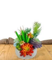 Nettenevime Yapay Çiçek Kaktüs Sukulent Aranjmanı Mokka Renk Plastik Saksıda 10 adet Karışık Model Skulent - 5